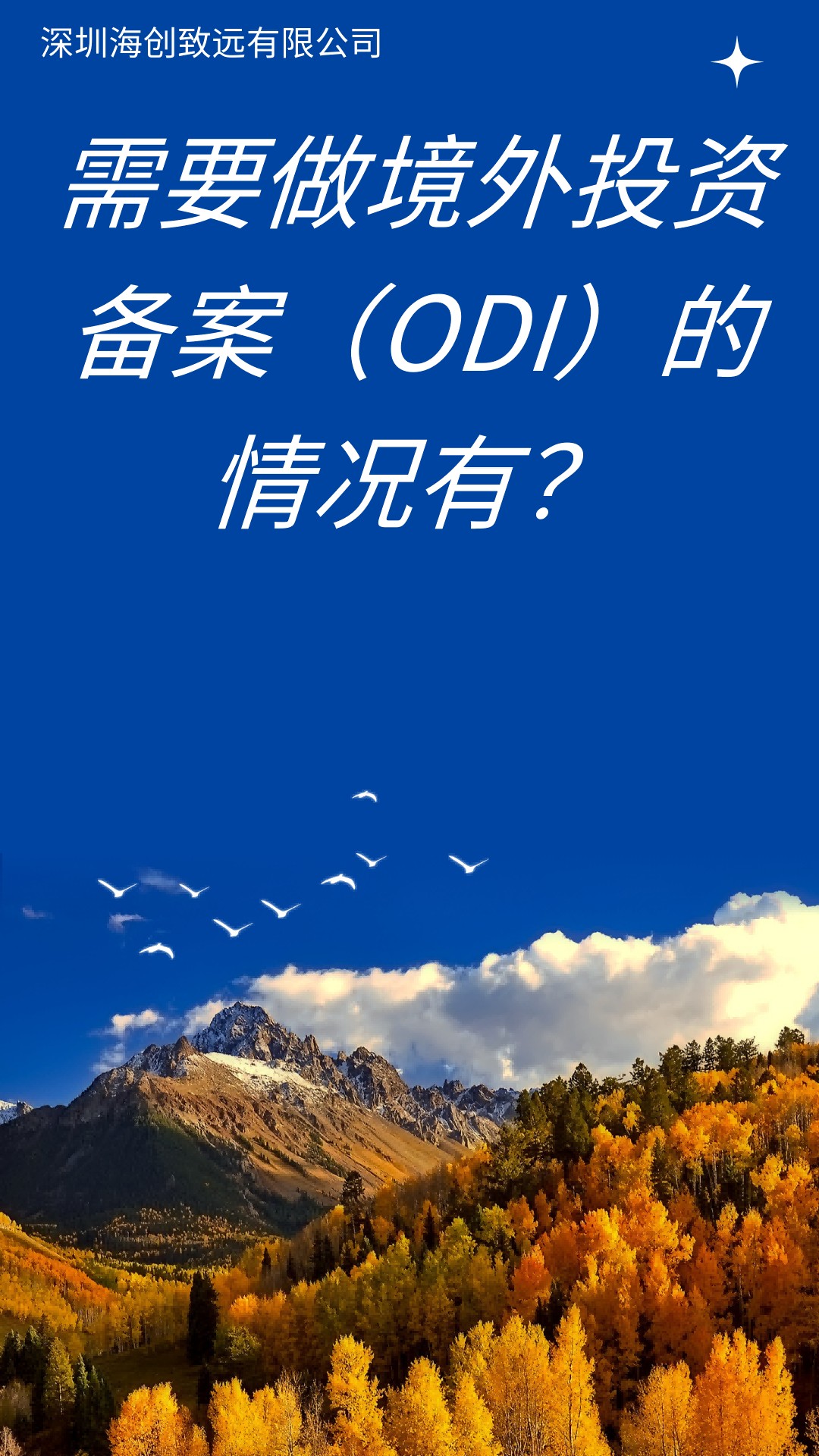 四川软件企业对外投资备案对外投资备案政策详细解读